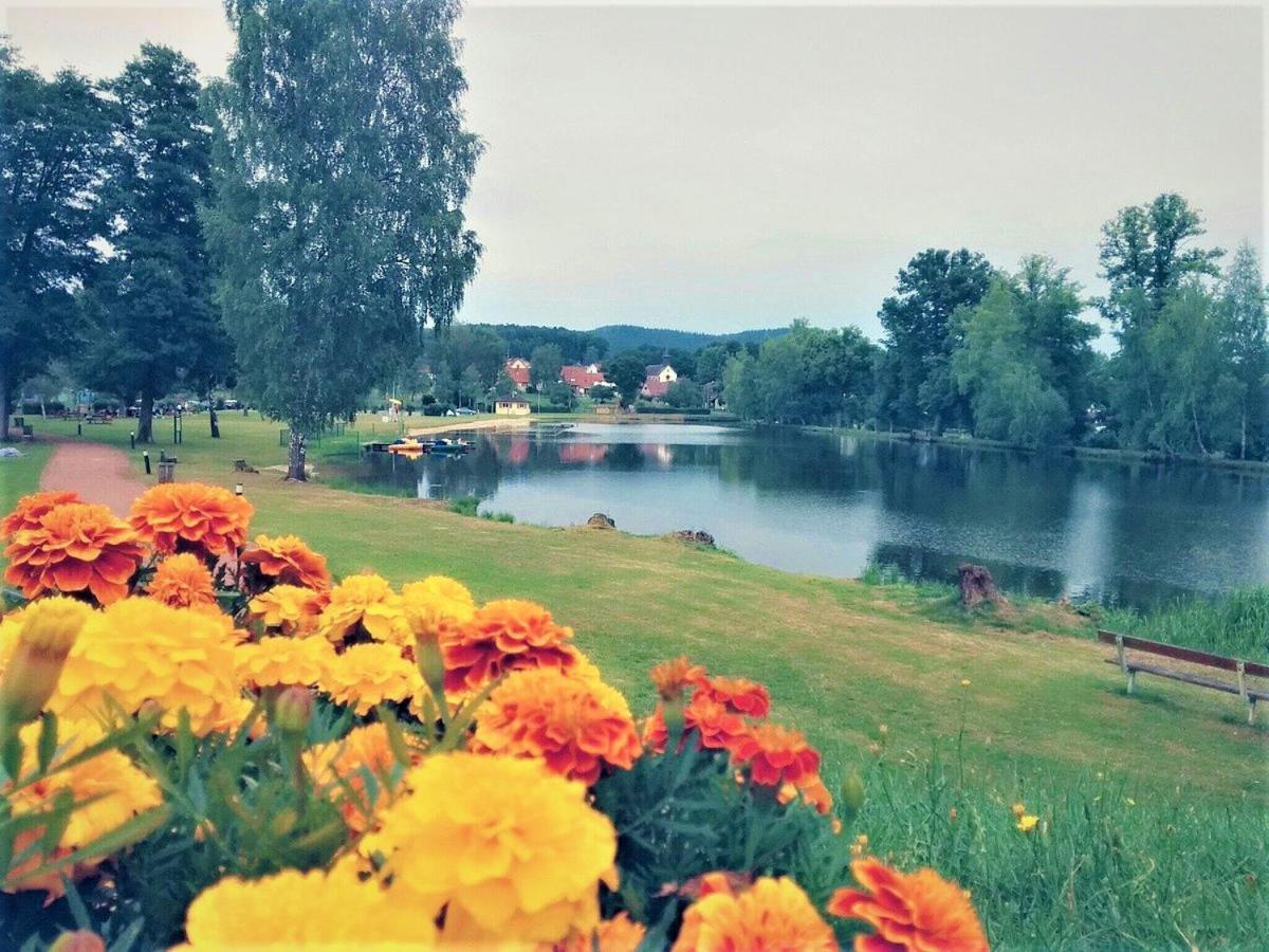 Camping Ramstein Plage Hotel Baerenthal Eksteriør billede